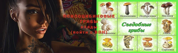 MESCALINE Кукмор