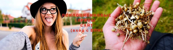 MESCALINE Кукмор