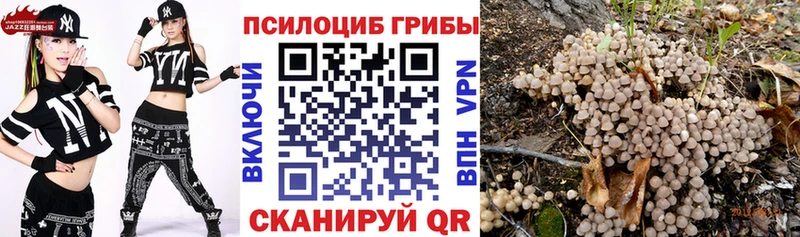 Купить где  Нягань  Псилоцибиновые грибы Psilocybine cubensis 